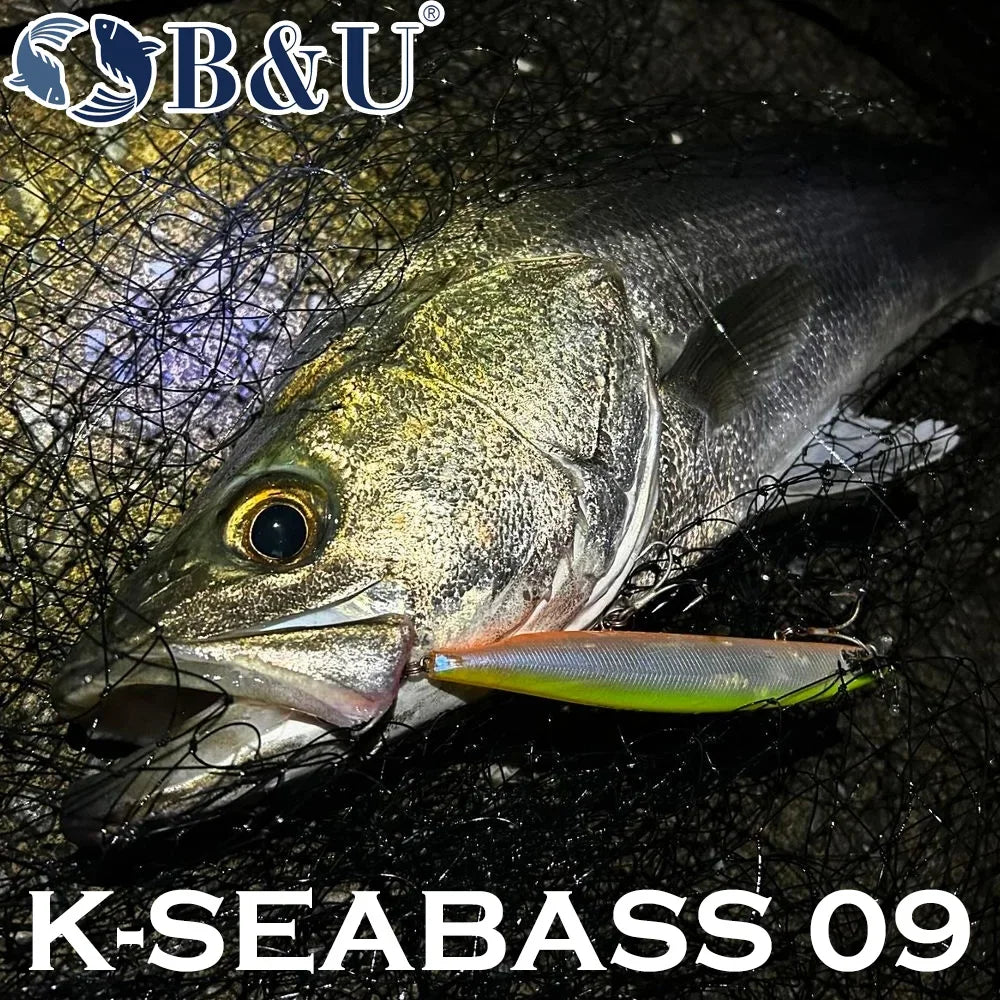 B&U Floating Minnow Fishing Lures Saltwater/Freshwater Long Casting Artificial Bait Jerkbait