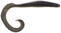 Megatail Rattlesnake