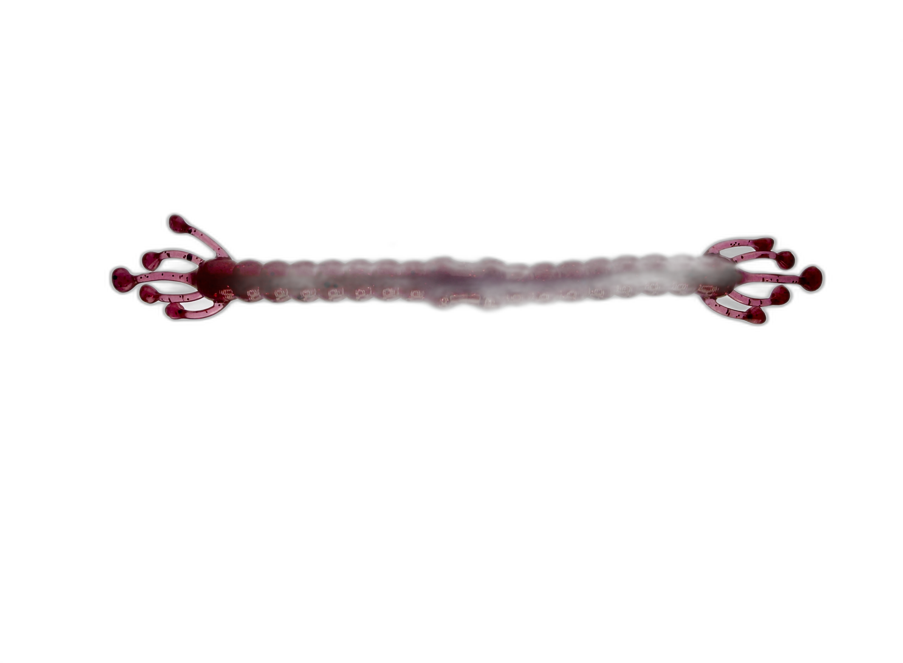 Wacky Alien - Soft Plastic Wacky Rig Worm for Bass Fishing