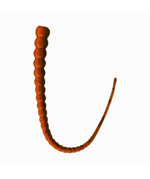 Whip Worm - Soft Plastic Worm with Whip-Like Tail for Bass Fishing